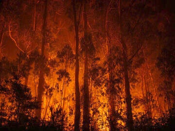 Oleada de incendios en Galicia