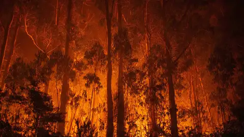 Oleada de incendios en Galicia Oleada de incendios en Galicia