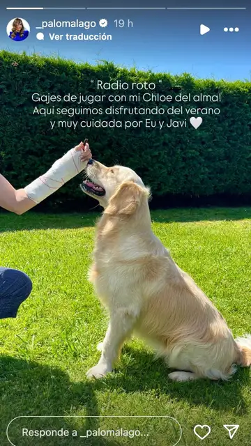 Paloma Lago comparte un story con sus seguidores contando que se ha lesionado jugando con su perra Chloe Paloma Lago comparte un story con sus seguidores contando que se ha lesionado jugando con su perra Chloe