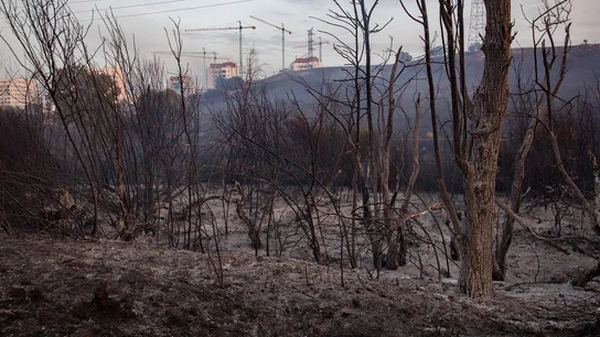 AEMET avisa de posibles tormentas secas en próximos días, que hacen que el fuego se origine y se propague en poco tiempo AEMET avisa de posibles tormentas secas en próximos días, que hacen que el fuego se origine y se propague en poco tiempo