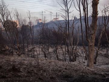 AEMET avisa de posibles tormentas secas en próximos días, que hacen que el fuego se origine y se propague en poco tiempo