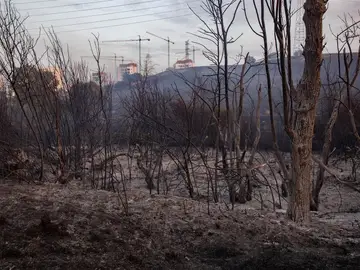 AEMET avisa de posibles tormentas secas en próximos días, que hacen que el fuego se origine y se propague en poco tiempo AEMET avisa de posibles tormentas secas en próximos días, que hacen que el fuego se origine y se propague en poco tiempo