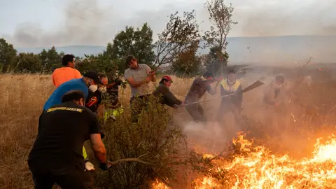 Varias personas tratan de apagar el fuego, a 12 de agosto de 2025, en Abejera, Zamora Varias personas tratan de apagar el fuego, a 12 de agosto de 2025, en Abejera, Zamora