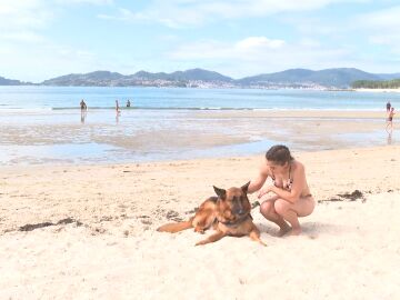 perros en la playa de A Coruña