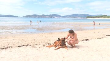 perros en la playa de A Coruña