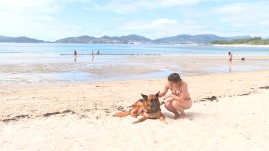 El debate por los perros en la playa calienta el verano en A Coruña y divide a bañistas y amantes de las mascotas
