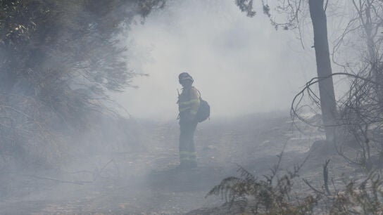 Bomberos trabajan en la extinci&oacute;n del incendio este jueves, en las proximidades de La Alberca (Salamanca)