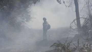 Bomberos trabajan en la extinción del incendio este jueves, en las proximidades de La Alberca (Salamanca)