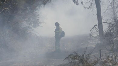 La inversión en prevención de incendios en los últimos años cae más de un 50% 