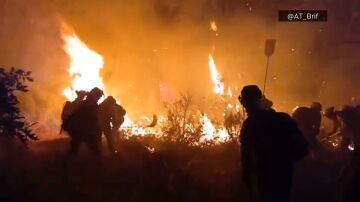 Brigadistas luchan contra el fuego