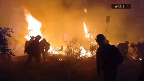 Brigadistas luchan contra el fuego Brigadistas luchan contra el fuego