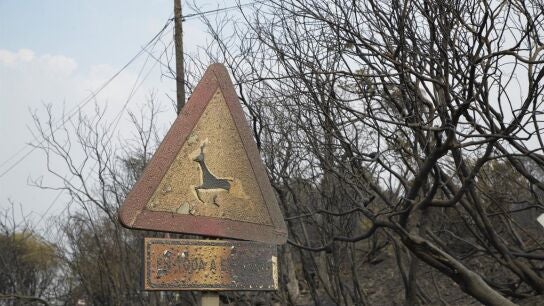 Cortada la circulaci&oacute;n ferroviaria en A Mezquita y las carreteras N-525 y A-52 por los incendios de Ourense