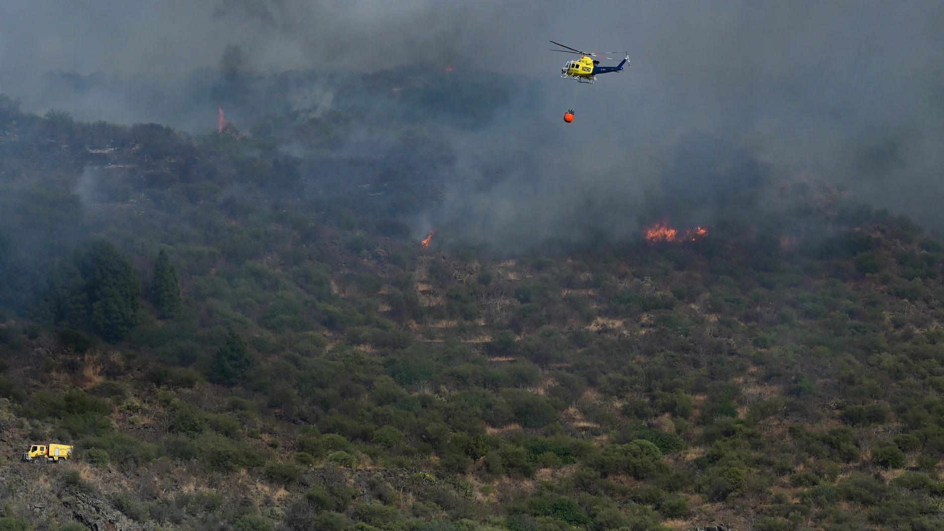 Los montes de Tenerife vigilados por tierra y por aire para prevenir incendios forestales Los montes de Tenerife vigilados por tierra y por aire para prevenir incendios forestales