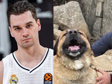 Mario Hezonja, solidario con la familia de Mircea Spiridon