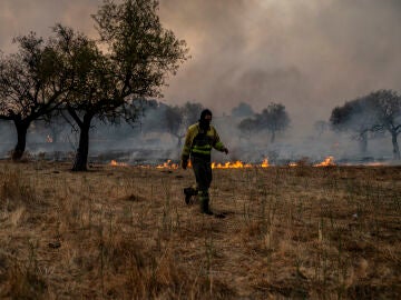  Un técnico forestal camina por la zona de hierba que arde durante un incendio forestal en Casar de Cáceres, España.
