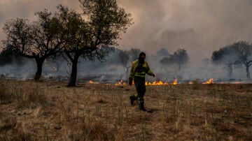 Un técnico forestal camina por la zona de hierba que arde durante un incendio forestal en Casar de Cáceres, España.