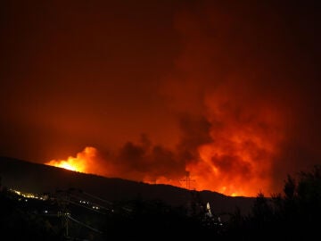 Incendio en Jarilla. 