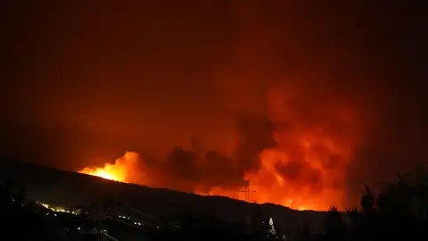Incendio en Jarilla. Incendio en Jarilla.