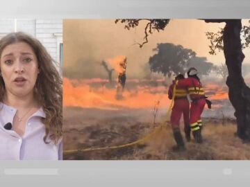 Ester Muñoz sobre los incendios