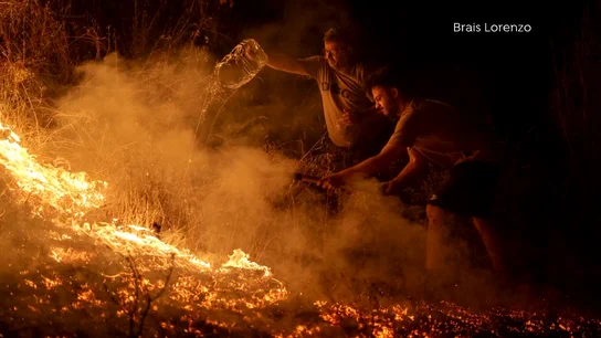 "Nunca había visto algo así": las imágenes que reflejan la crudeza del fuego captadas por los fotoperiodistas "Nunca había visto algo así": las imágenes que reflejan la crudeza del fuego captadas por los fotoperiodistas