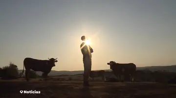 Las llamas arrasaron la mitad de la superficie del ayuntamiento de Chandrexa de Queixa, en Ourense Las llamas arrasaron la mitad de la superficie del ayuntamiento de Chandrexa de Queixa, en Ourense