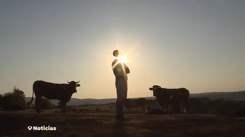 Las llamas arrasaron la mitad de la superficie del ayuntamiento de Chandrexa de Queixa, en Ourense Las llamas arrasaron la mitad de la superficie del ayuntamiento de Chandrexa de Queixa, en Ourense