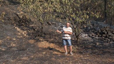 Los cerezos extremeños que han salvado a los bosques del incendio de Jarilla
