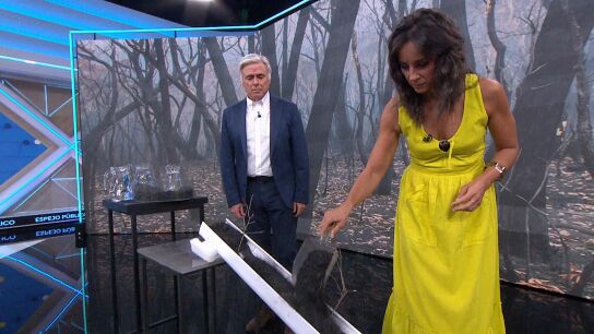 &iquest;C&oacute;mo afectar&aacute;n las cenizas a las zonas incendiadas? &iquest;Qu&eacute; ocurrir&aacute; si llueve? Analizamos la situaci&oacute;n con Paco Casta&ntilde;ares.