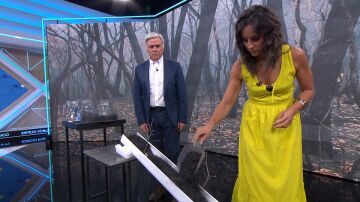 ¿Cómo afectarán las cenizas a las zonas incendiadas? ¿Qué ocurrirá si llueve? Analizamos la situación con Paco Castañares.