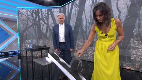 ¿Cómo afectarán las cenizas a las zonas incendiadas? ¿Qué ocurrirá si llueve? Analizamos la situación con Paco Castañares. ¿Cómo afectarán las cenizas a las zonas incendiadas? ¿Qué ocurrirá si llueve? Analizamos la situación con Paco Castañares.