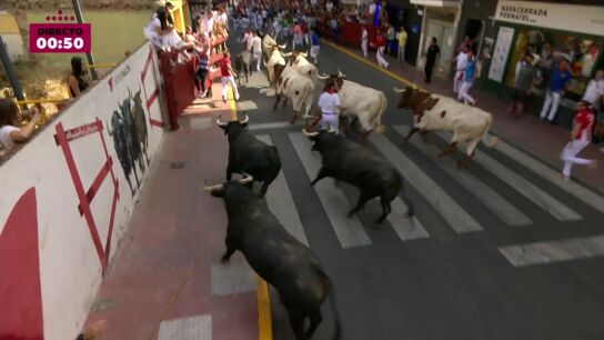 El v&iacute;deo del segundo d&iacute;a de encierros en San Sebasti&aacute;n de Los Reyes 