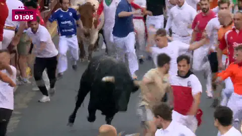 Encierros de San Sebastián de Los Reyes 2025, segundo día en directo Encierros de San Sebastián de Los Reyes 2025, segundo día en directo