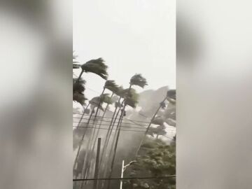 Tifón Vietnam