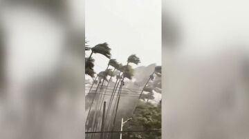 Tifón Vietnam