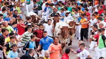 Encierro San Sebastián de los Reyes