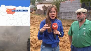 La reacción de un ganadero que vio arder su finca por un incendio provocado por un joven: “Siento impotencia”