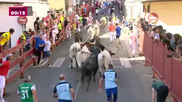 Encierro de Sanse (30-08-25) Encierro de Sanse (30-08-25)