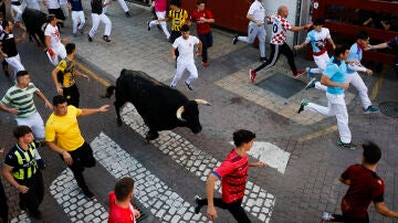 Los mozos corren ante los toros durante el séptimo encierro de San Sebastián de los Reyes