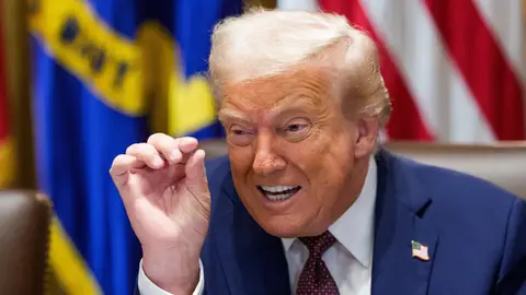 Imagen de archivo de Donald Trump Imagen de archivo de Donald Trump
