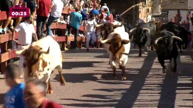 VÍDEO: Así ha sido el séptimo encierro de San Sebastián de los reyes 2025 
