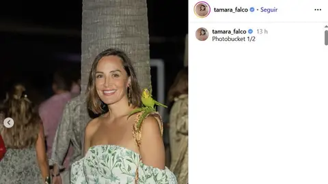 Tamara Falcó en la fiesta temático con el pájaro decorativo en el hombro Tamara Falcó en la fiesta temático con el pájaro decorativo en el hombro