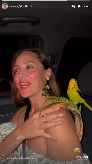 Tamara Falcó con un pájaro decorativo en el bolso Tamara Falcó con un pájaro decorativo en el bolso