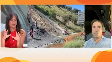 Begoña Villacís, sobre el aumento de las incidencias en los trenes: Begoña Villacís, sobre el aumento de las incidencias en los trenes: