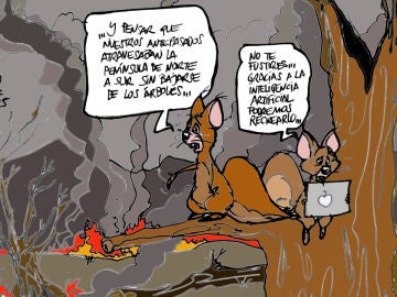 La pérdida de biodiversidad tras los incendios forestales, en la viñeta gráfica de la semana