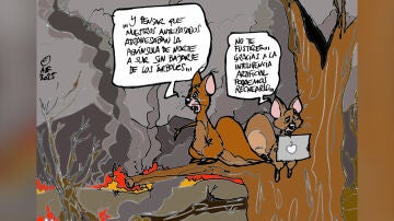 La pérdida de biodiversidad tras los incendios forestales, en la viñeta gráfica de la semana