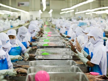Fábrica de latas de atún en Tailandia