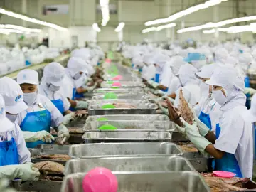 Fábrica de latas de atún en Tailandia Fábrica de latas de atún en Tailandia