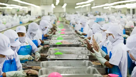 Fábrica de latas de atún en Tailandia Fábrica de latas de atún en Tailandia