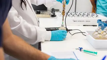 La investigación sobre la dieta de las vacas La investigación sobre la dieta de las vacas
