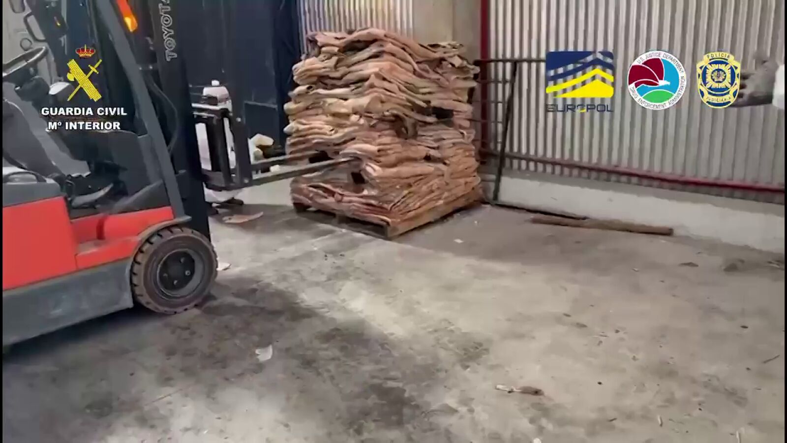 Ocultaban cocaína entre pieles de bovino: desmantelada una red criminal con base en Galicia y conexiones internacionales
